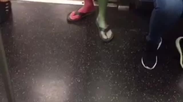 What on earth man in green and red body paint boards train
