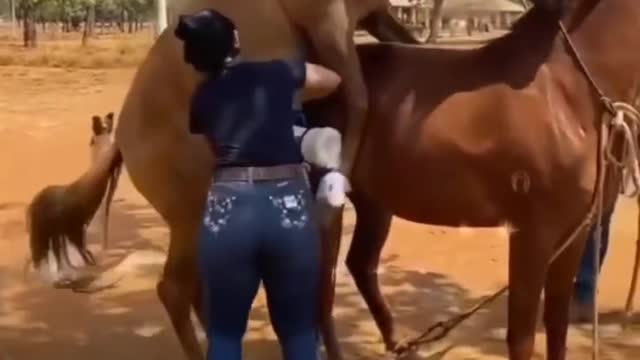 Viu no explorer seguir ❤️