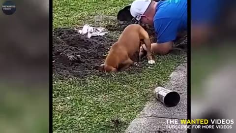 Funniest animal moment caught on Camera