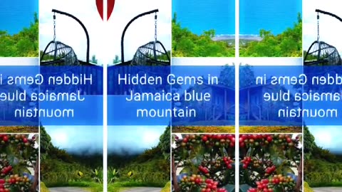 Blue Mountain jamica