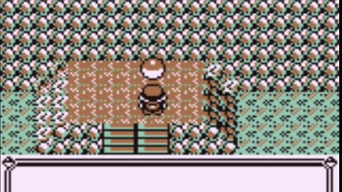 Pokemon Pure Green - Green Team, Episode 3: Mount Moon