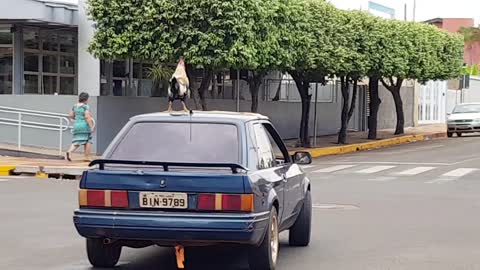 Rooster Hood Ornament