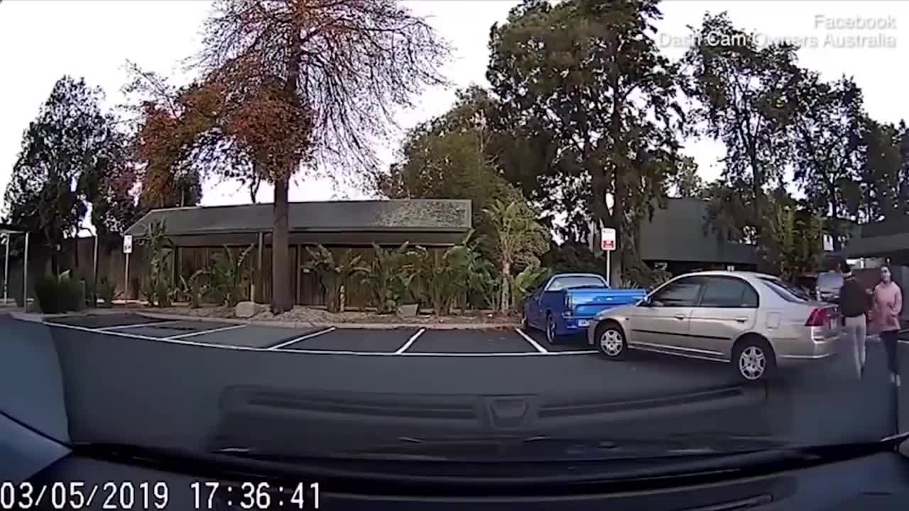 idiots in cars