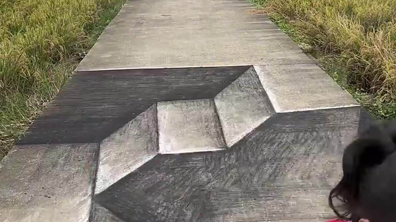 Wow_3D Drawing