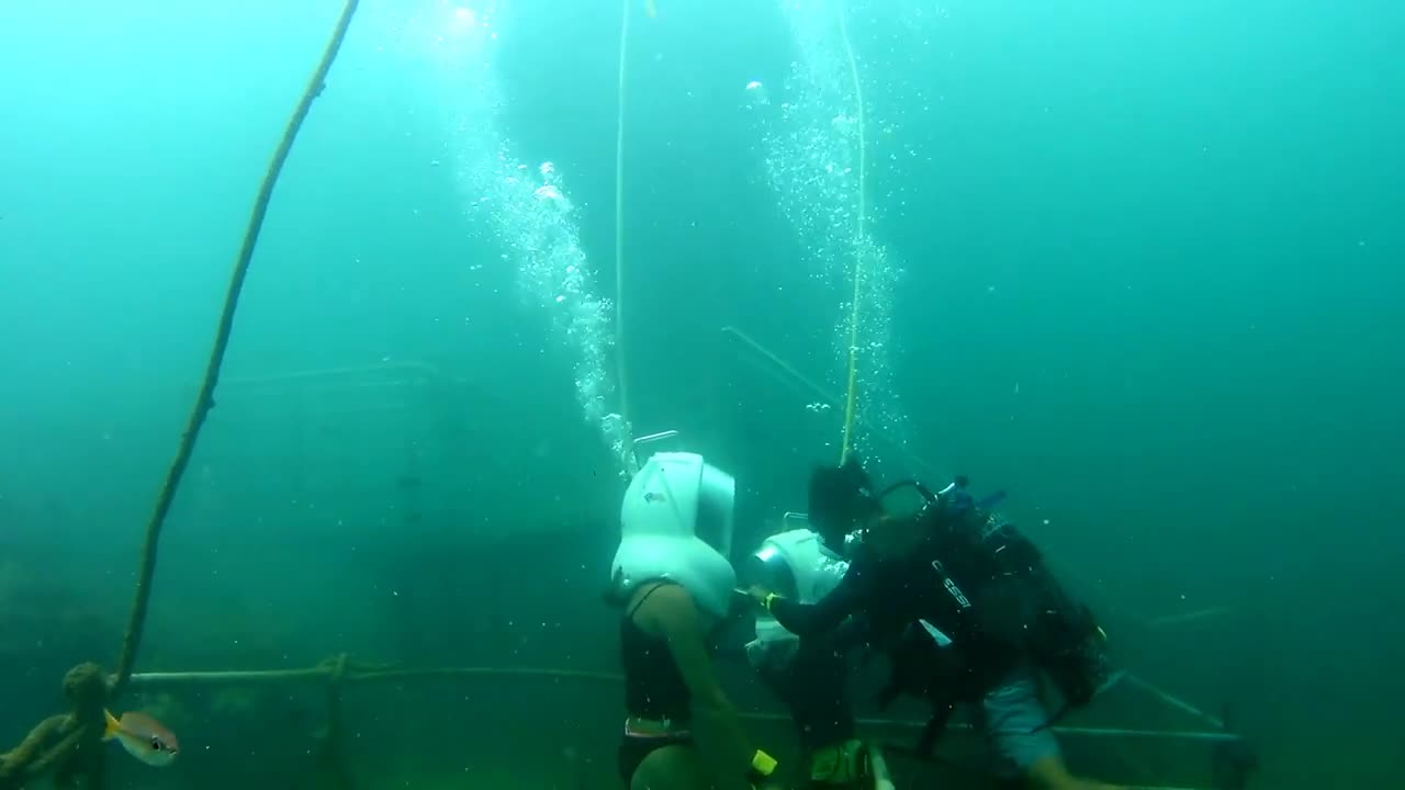 Underwater sea walking among the Coral Reefs of Borneo