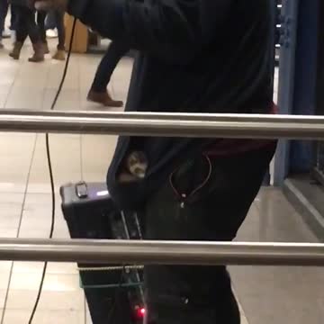 Guy beatboxes and has pet ferret inside of his hoodie pocket