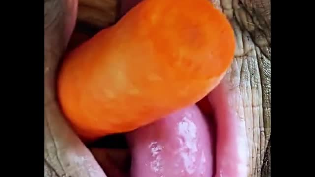 Do you know what kind of animal is eating carrots?