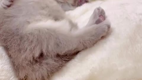 "Super cute #tbt by 𝐆𝐨𝐨𝐩𝐲 ⚜️✨"