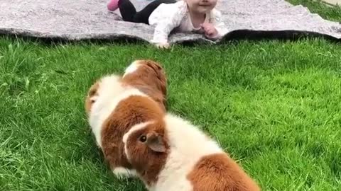 The Cute Baby Playing With The Little Rabbits.