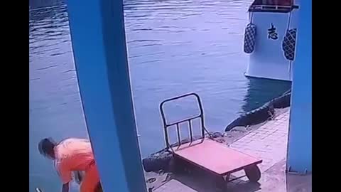 OAP On Scooter Accidentally Plunges Into Sea