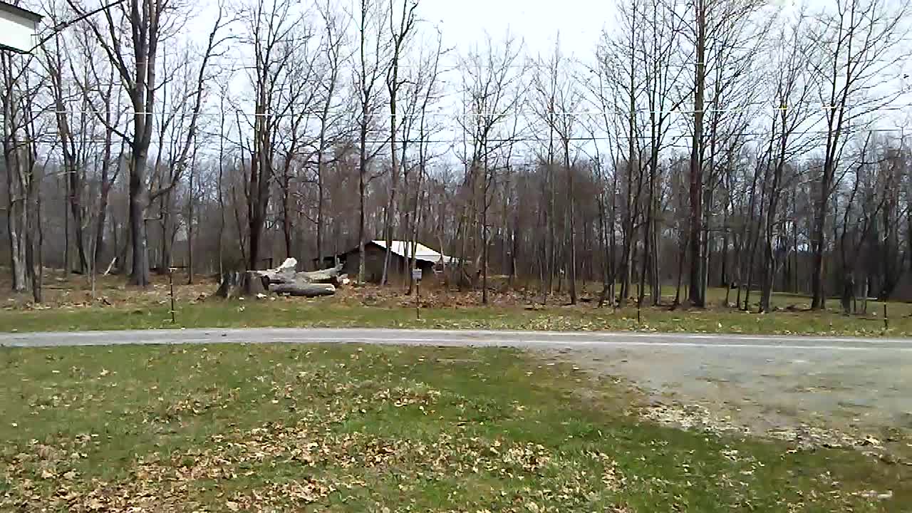 Leaf "Tornado"