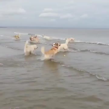 When you’re waiting to jump into water fora long time or so much excited about the ocean