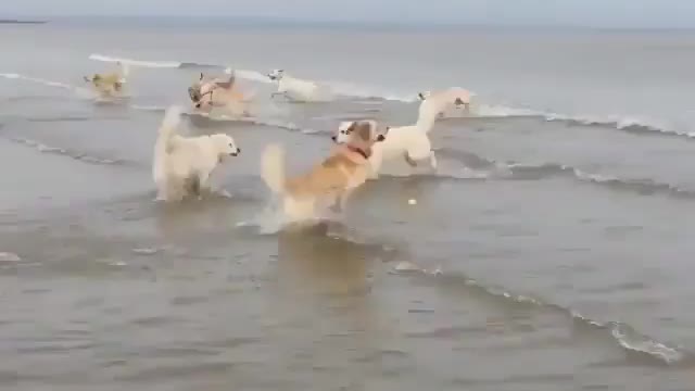 When you’re waiting to jump into water fora long time or so much excited about the ocean