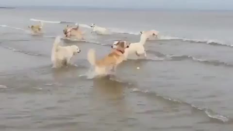 When you’re waiting to jump into water fora long time or so much excited about the ocean