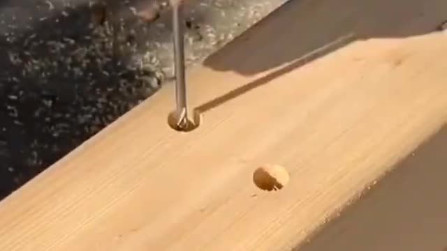 Wood working video #shorts