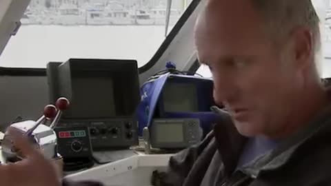 Orcas The Hunters Of Great Whites