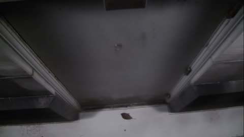 0921USCG00HT18Exterior_2021-01-06_04h20min01s253ms.mp4