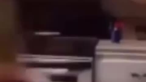 Funny animals
