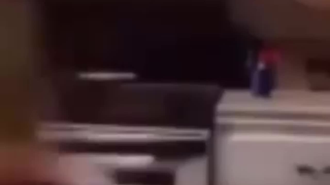 Funny animals