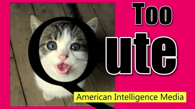 Too cute Q drops April 4 2018