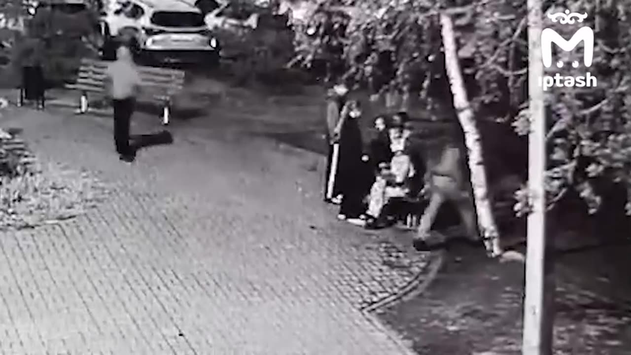 Стадо Драчунов