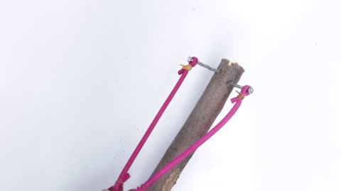 Wood gun tacnicalsoch 2023