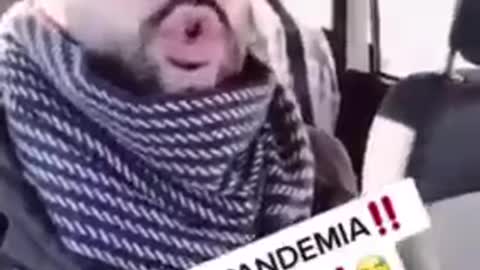 2 anni di pandemia, riassunto ultra veloce - Che dobbiamo fare più?
