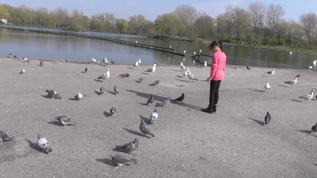 Feeding The Cute Birds