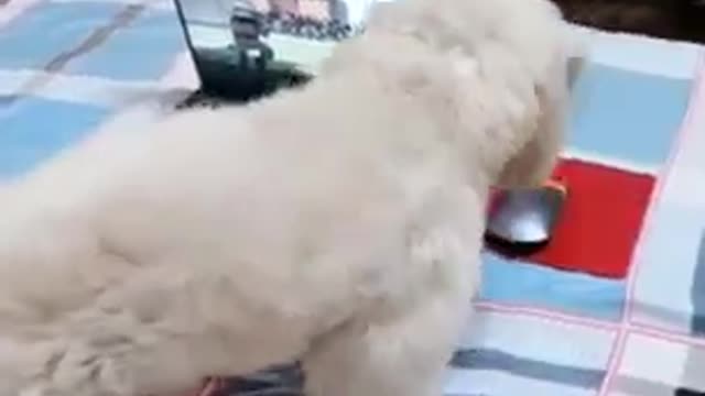 Omg so funny 😅😂🤣