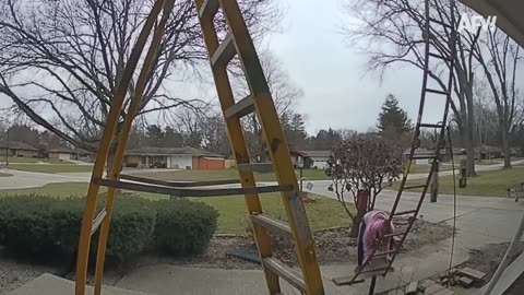oops We Did It Again! Best Fails Of The Week 2023