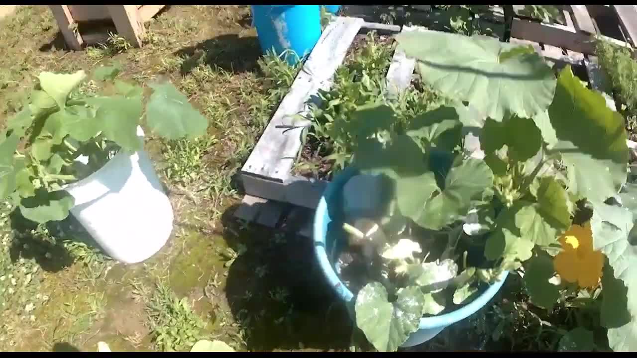 What happened after 2 days of hard rain?