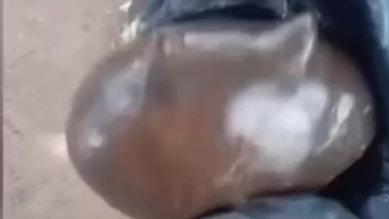 seapig.mp4 | Weird cryptid sea monster caught on film UFO Creepy Unexplained Paranormal