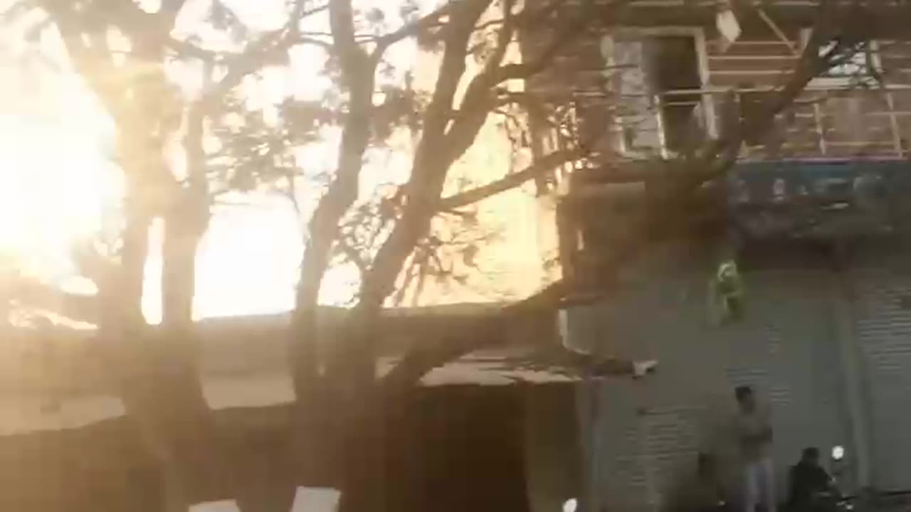 Real-time Elephant