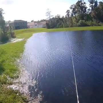 Bass fishing topwater