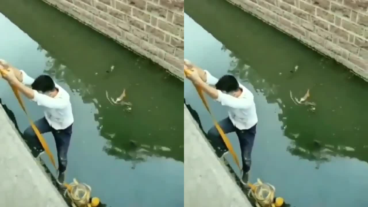 Someone Rescued The Cat that had fallen into the river