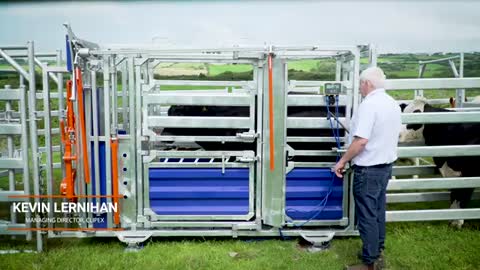 Clipex HDX1100 Series Cattle Crush