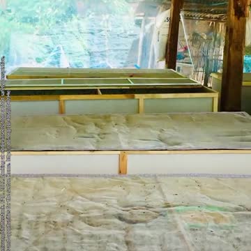 ANCHE L'ATTRICE SPAZIALE FA PROPAGANDA AGLI INSETTI COME CIBO!