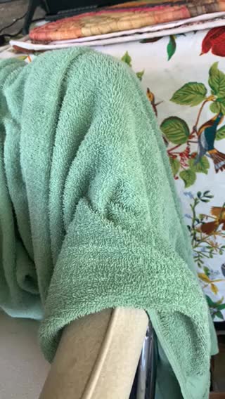 Squirrel watching on tv