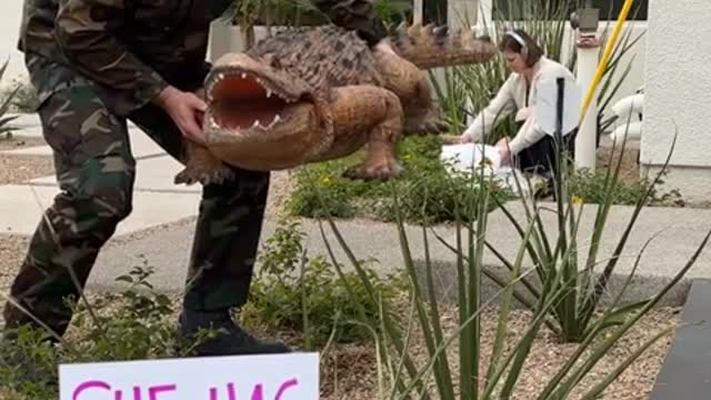 When she sees the SURPRISE