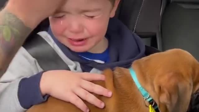 “Can I keep him?” Who is cutting onions here? 🥺