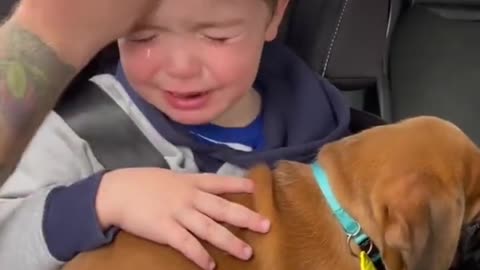 “Can I keep him?” Who is cutting onions here? 🥺