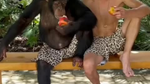 MIMIC APE