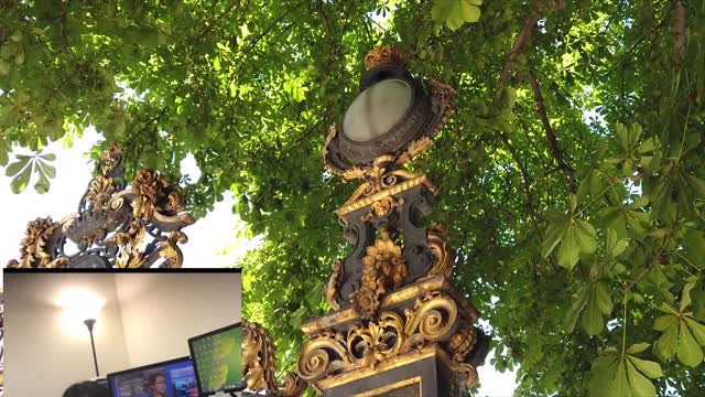 居家風水 專訪黃妤老師 「開運植物」