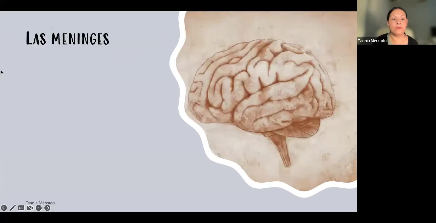 Escuela de padres: El Santuario y Cuerpo humano. Sept. 5, 2022