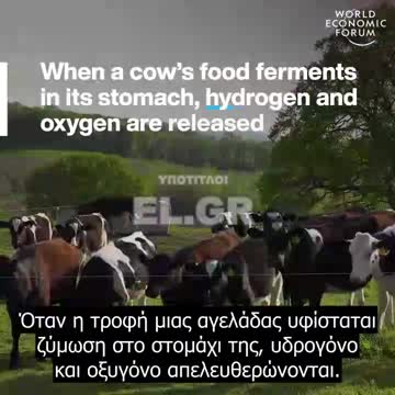 Πώς σκοπεύουν να μειώσουν τις εκπομπές μεθανίου. Δεν πάει το μυαλό σας.