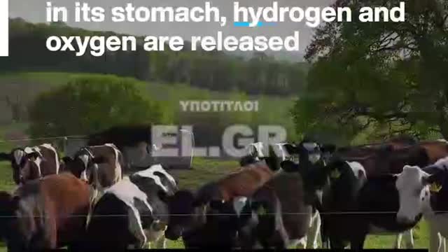 Πώς σκοπεύουν να μειώσουν τις εκπομπές μεθανίου. Δεν πάει το μυαλό σας.