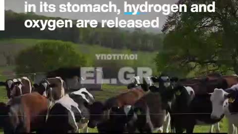 Πώς σκοπεύουν να μειώσουν τις εκπομπές μεθανίου. Δεν πάει το μυαλό σας.