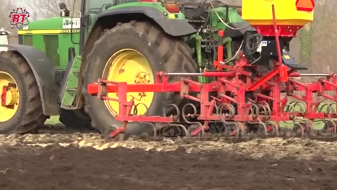 DUTCH MODERN CAULIFLOWER FARMING CAULIFLOWER FARMING PROCESS