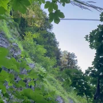 Freedom Cash Geocaching Paper Wallet - Difficult To Find