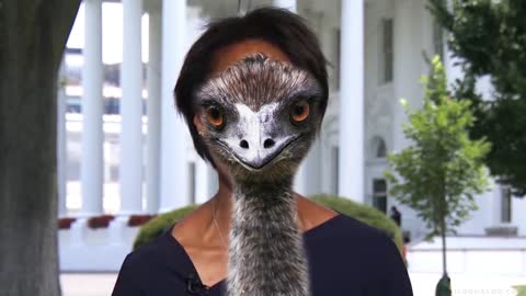 STOP IT!!!😂😂😂 SHE DOES NOT LOOK LIKE AN EMU!!!